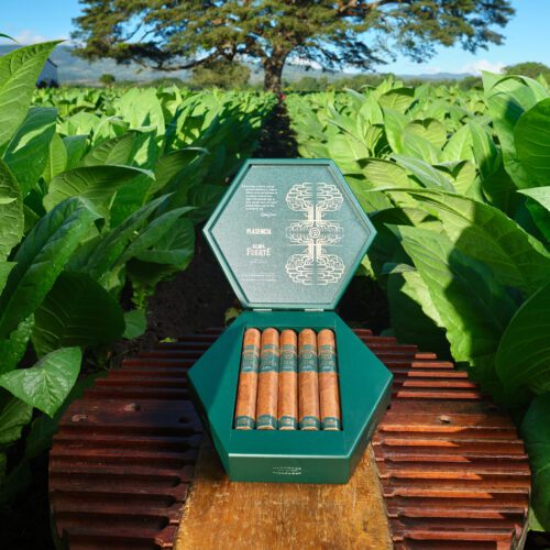 Plasencia Alma Fuerte Colorado Claro